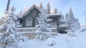 Tahkonhovi Golden Chalet Nilsiä
